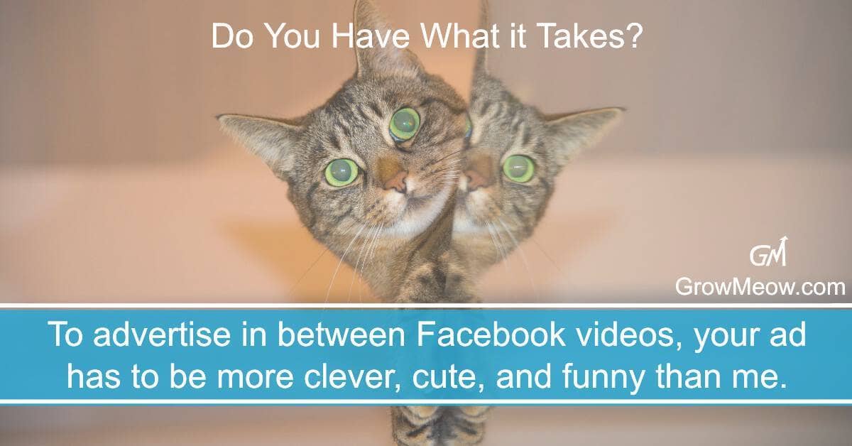 Facebook ads viral video
