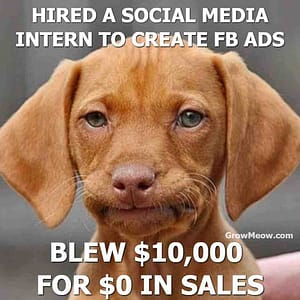 dog upset because you hired an intern for your advertising